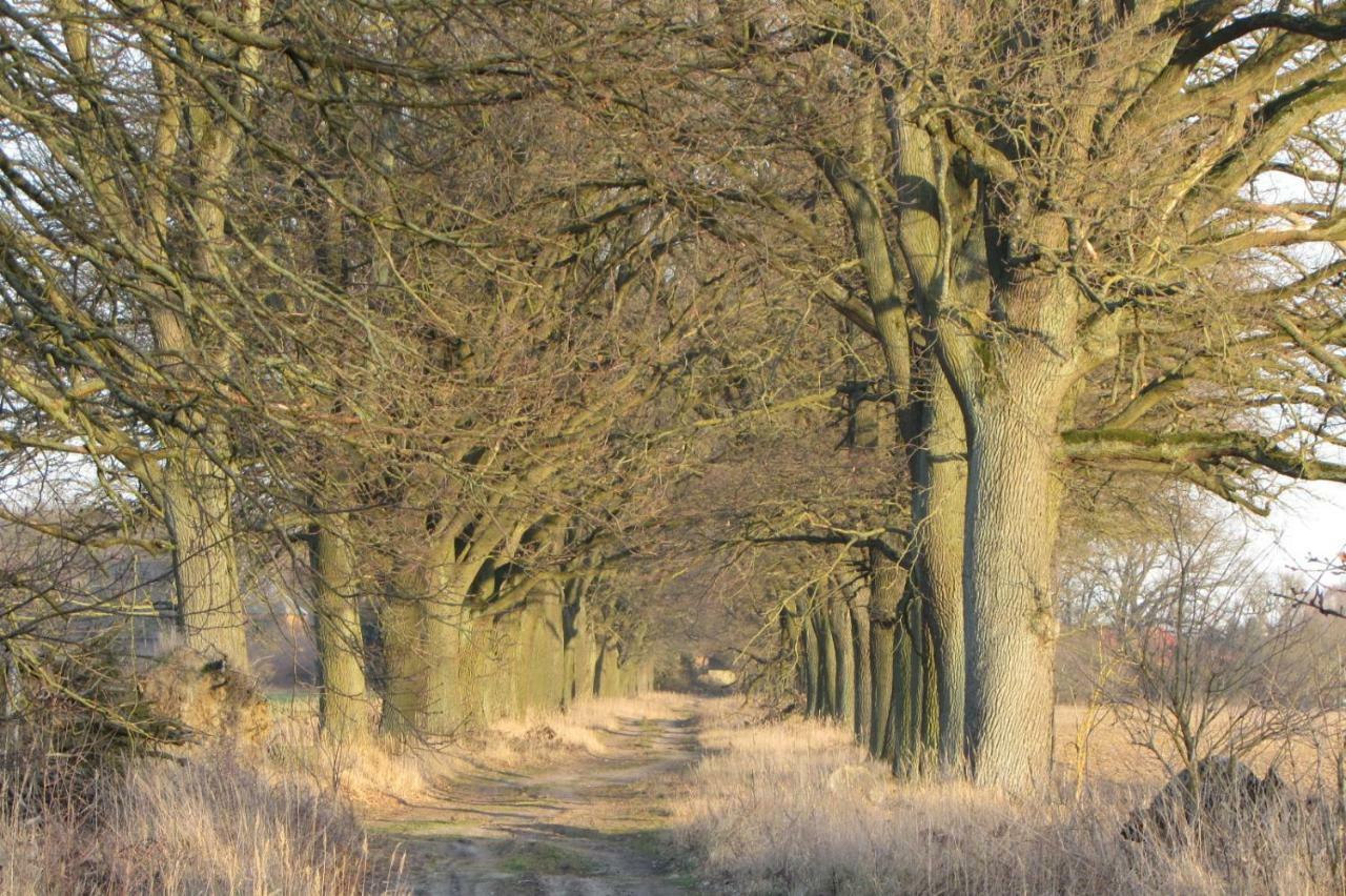 Radlerzimmer Strasen Экстерьер фото